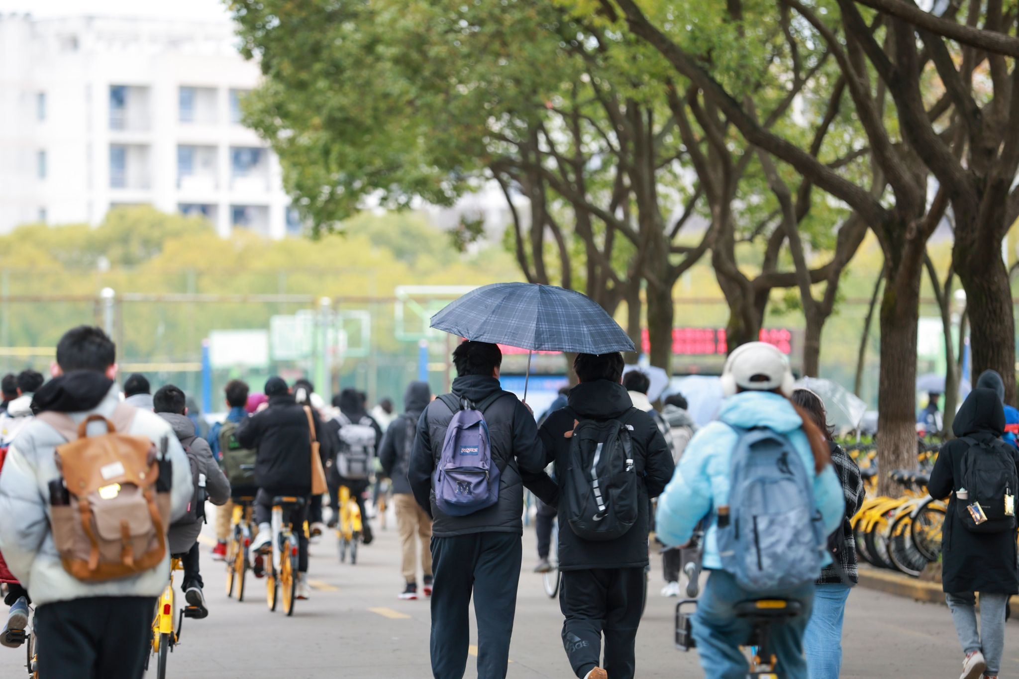 11b4e72ff2834709f88c25e148f4760f-sz_2059633.jpg 11b4e72ff2834709f88c25e148f4760f-sz_2059633.jpg